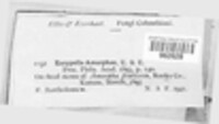 Image Associated With the Occurence